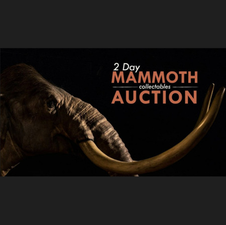 2 Day Mammoth Collectables Auction - Sat 12th & Sun 13th November 2022