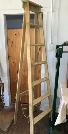 Vintage tall step ladder