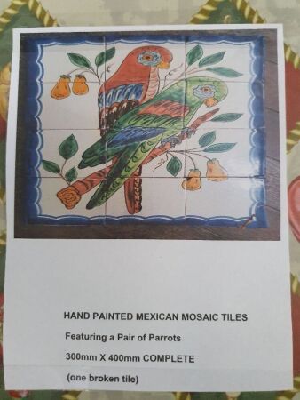 Hand painted Mexican tiles in a parrot mosaic