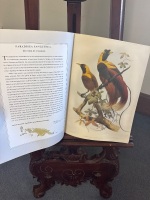 Birds of Paradise Golden Age of Illustrations - 2