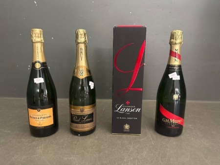 Mixed Champagne Lot inc. Mumm, Nicolo & Paradis, Paul Louis & Lanson
