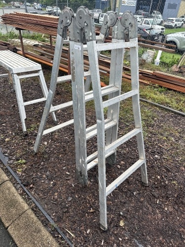 Adjustable Expandable Ladder