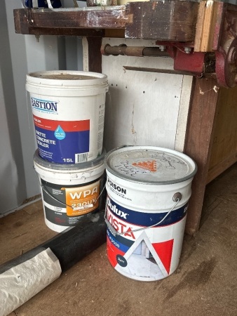 Assorted Paint