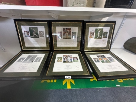 At the Crease genuine memorabilia 205/350