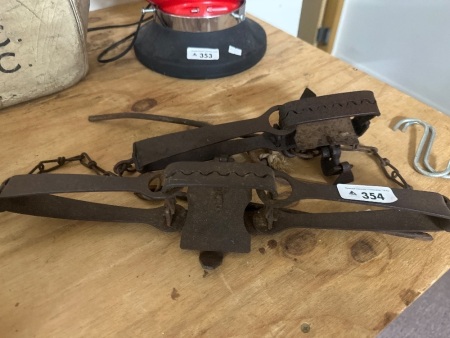 2 Vermin Traps