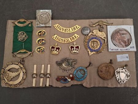Assortment of Military Pins and Badges