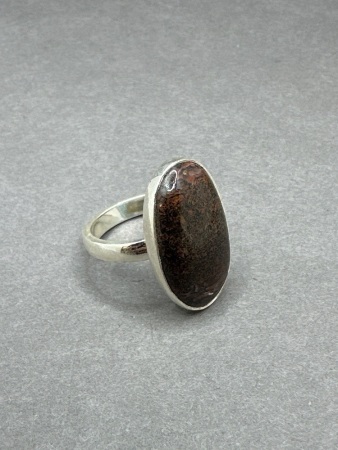 Sterling Silver Ring with Fossil Dinosaur Bone Gemstone - From Madagascar