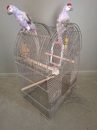 Large Metal Bird Cage