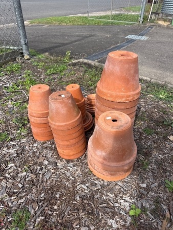 33 Various Sized Terracotta Pots