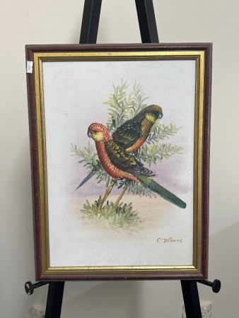 Beautiful Birds Aryclic on Canvas by C Jeffares