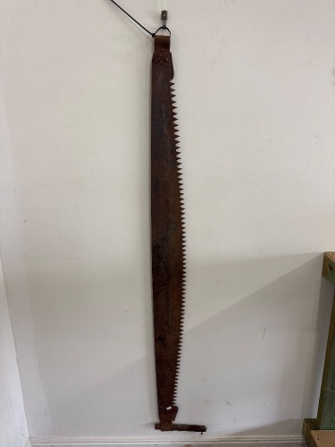 Cross Cut Saw - 54in blade