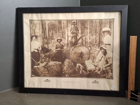 Splitting Slabs for Humpy 1911 Print - From the Original Collection Queensland Department of Forestry Brisbane