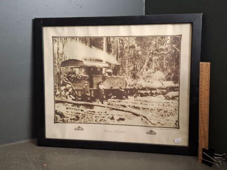 Steam Train on Fraser Island Print - From the Original Collection at John Oxley Library Brisbane