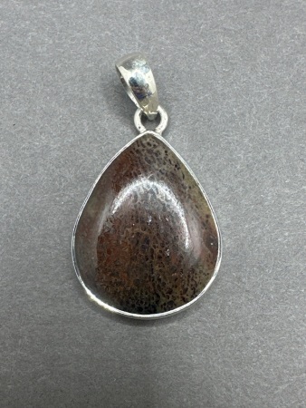 Sterling Silver Pendant with Fossil Dinosaur Bone Gemstone from Madagascar