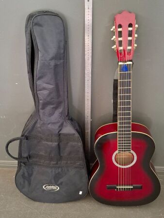 Ashton Acoustic Guitar in Case