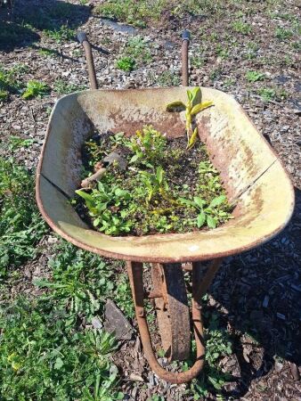 Vintage Wheelbarrow - Garden Ornament