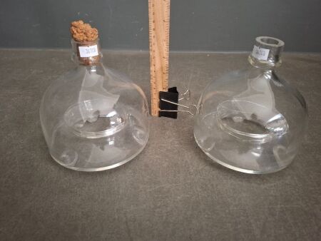 2 Vintage Glass Fly Traps