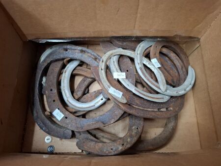 Asst of Horse Shoes - Various Sized