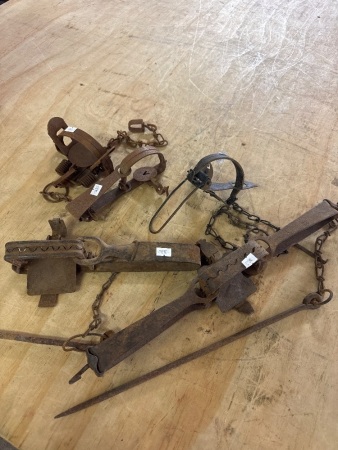 5 Small Vermin Traps - All marked