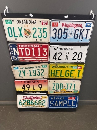 10 American State Number Plates