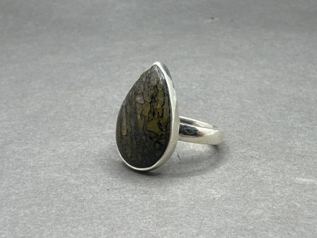 Sterling Silver Ring with Fossil Dinosaur Bone Gemstone - From Madagascar