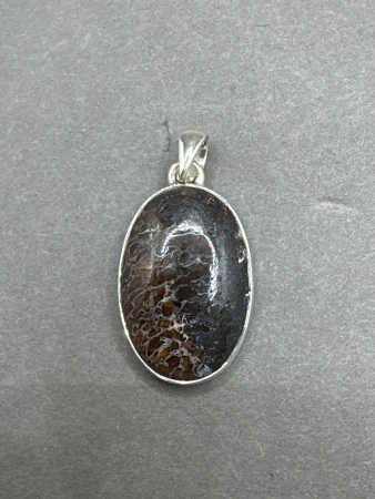 Sterling Silver Pendant with Fossil Dinosaur Bone Gemstone - From Madagascar