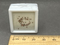 Quarter Carat Chamange Diamond Gemstones - 2