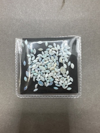 9 Carats Small Marquise Cut Opal Solids Gemstones
