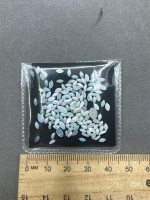 9 Carats Small Marquise Cut Opal Solids Gemstones - 2