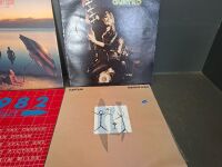 9 Mixed Rock Vinyl Records - 3