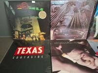 9 Mixed Rock Vinyl Records - 2
