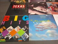 9 Mixed Rock Vinyl Records - 4
