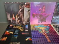 9 Mixed Rock Vinyl Records - 2