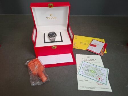 Faux Tudor Geneva Watch - In Box with Papers