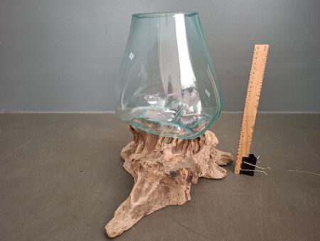 Large Hand Melted Glass Terrarium on Drift Wood