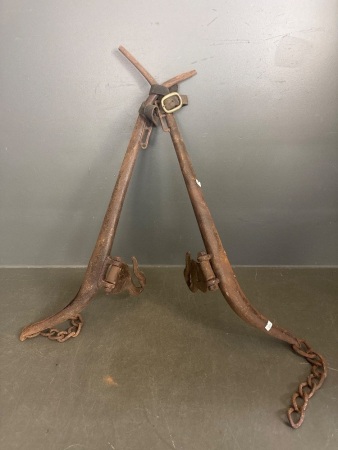 Set of Kangaroo Horse Haynes - Both Marked