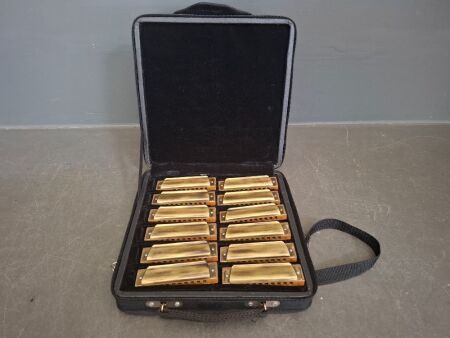 Harmonica Set of 12 with Carry Case