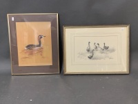 Framed Original Pencil Drawing of Ducks Signed Margaret Carr 91 + Print of Australain Grebe