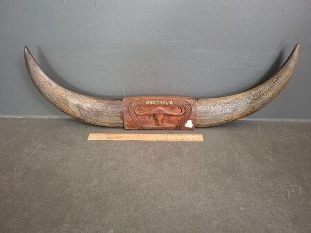 Vintage Buffalo Horns with Serimshaw Carved Dragons