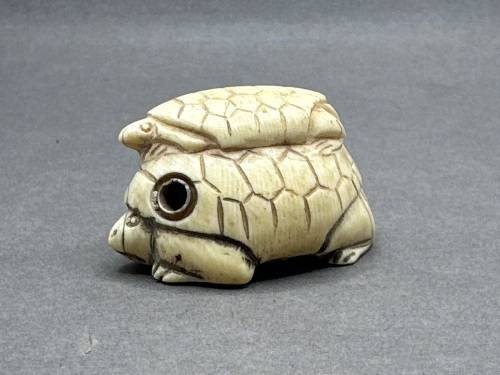 Japanese Netsuke Ivory Turtle Signed
