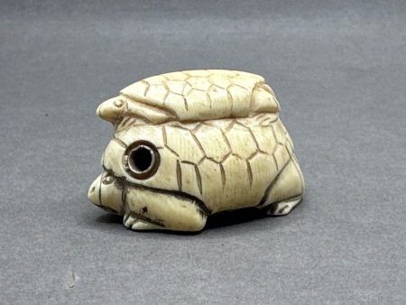 Japanese Netsuke Ivory Turtle Signed