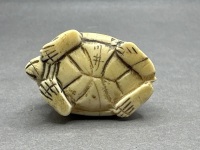 Japanese Netsuke Ivory Turtle Signed - 5