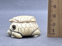 Japanese Netsuke Ivory Turtle Signed - 6