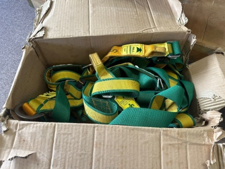 Fall Arrest Harness