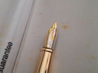 Gold Toned Crocodile Fountain Pen - with 22 k Nib - 2