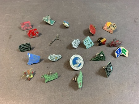 Collection of 16 Vintage Enamel Pins of USA States + 3 Others