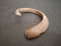 Boars Tusk Curved - 2