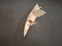 Chinese Ivory boat - 4