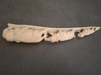Carved Tusk with Elephants - 6