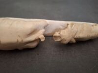 Carved Tusk with Elephants - 7